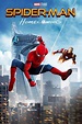 Image result for spider man homecoming | Spiderman homecoming ...
