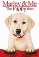 Marley & Me: The Puppy Years Movie Poster - ID: 109081 - Image Abyss