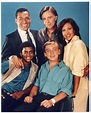 Silver Spoons Cast - Sitcoms Online Photo Galleries