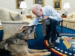 Photos: US Presidential pets through the years | News-photos – Gulf News