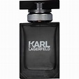 Karl Lagerfeld By Karl Lagerfeld Eau De Toilette Spray, Cologne for Men ...