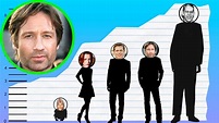 How Tall Is David Duchovny? - Height Comparison! - YouTube