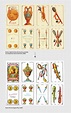Conocer el origen de los naipes, de sus famosos símbolos e incluso de ...