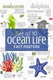 Ocean Animal Fact Posters | Ocean animals, Ocean theme preschool, Ocean lesson plans