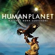 BBC – Human Planet | The Sanctuary Studio