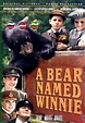 A Bear Named Winnie (TV) (2004) - FilmAffinity