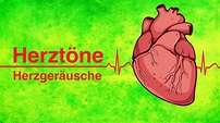 Herztöne/Herzgeräusche // Sabine Steinbruch - YouTube