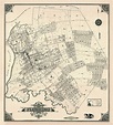 Map Of Flushing 1894 Photograph by Andrew Fare - Pixels