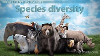 What is Species Diversity? - Definition, Importance & Examples - Video ...