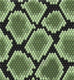 Green Snake Skin Vector - Snake Drawing