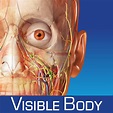 Human Anatomy Atlas SP – Free 3D Anatomical Models of the Human ...