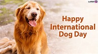 International Dog Day 2020 Images, HD Wallpapers & Wishes for Free ...