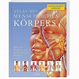 Atlas des menschlichen Körpers Buch bei Weltbild.de bestellen