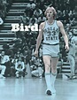 Larry Bird Coloring Pages | Let's Coloring The World