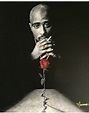 The Rose that Grew from concrete | Tupac art, Tupac pictures, Tupac tattoo