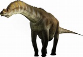 Argentinosaurus | Dinopedia | Fandom