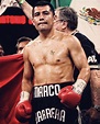 Marco Antonio Barrera | Boxeo mexicano, Boxeo, Boxeadora