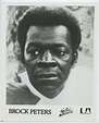 Picture of Brock Peters