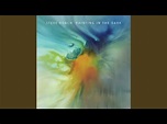 Steve Roach – Painting In The Dark (2016, CD) - Discogs