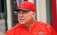 Mike Scioscia will return as Angels manager in 2016 - MLB | NBC Sports