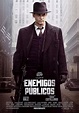 Ver Enemigos públicos (2009) HD 1080p Latino - Vere Peliculas