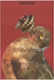 The Birdwatcher (1988) - IMDb