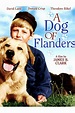 A Dog of Flanders (1959) - Posters — The Movie Database (TMDB)