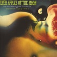Morton Subotnick - Silver Apples of the Moon (50th-anniversary Edition ...