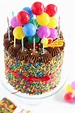 The Birthday Cake! | Sprinkle Bakes