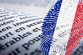 Die französische Sprache - überall auf der Welt - IN-TRANSLATIONS