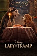 Lady and the Tramp (2019) - Posters — The Movie Database (TMDb)