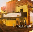 Forest sun - Walk Through Walls Lyrics and Tracklist | Genius