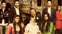 Review: In Diyar-e-Dil, male relationships finally get their due ...