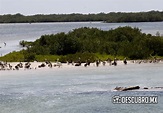 Conoce el puerto de Chabihau en Yucatán ¡Te sorprenderá!