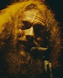 'Jethro Tull: Jack in the Green - Live in Germany 1970-93' Photo ...