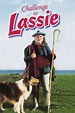 Challenge to Lassie (1949) — The Movie Database (TMDB)