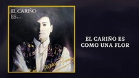 EL CARIÑO ES COMO UNA FLOR - Willy Rivera | El Cariño Es... (1991 ...