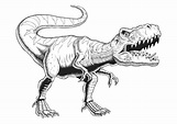 Dibujo colorear dinosaurio Tiranosaurio Rex. Tyrannosaurus Rex dinosaur ...