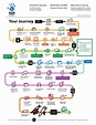 Learning Journey Map Template