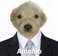 Jotchua el perro en 2022 | Imagenes de animales bonitos, Humor de ...
