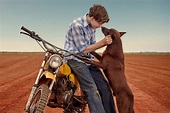 Red Dog (2011) - The Screen Guide - Screen Australia