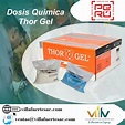 Dosis Quimica Thor Gel - Villafuerte Villafuerte S.A.C