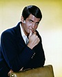 40 Handsome Portrait Photos of American Actor George Hamilton in the ...