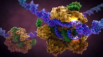 CRISPR Cas9 Gene Editing: Scientific Illustration - Medical ...
