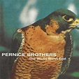 Pernice Brothers – The World Won't End (2001, CD) - Discogs