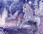 starry unicorn | Unicorn pictures, Unicorn and fairies, Unicorn backgrounds
