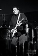 David Hidalgo - Los Lobos Photograph by Concert Photos - Pixels