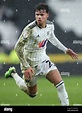 NECO WILLIAMS, FULHAM FC, 2022 Stock Photo - Alamy