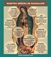 Virgen de Guadalupe, conoce su significado | Luz Noticias