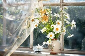 Summer Decor for Your Windows - Wasatch Shutter